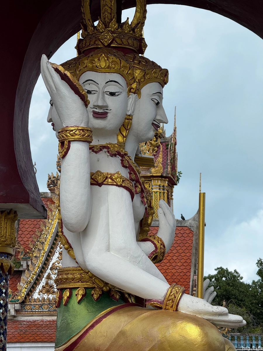 Brahma